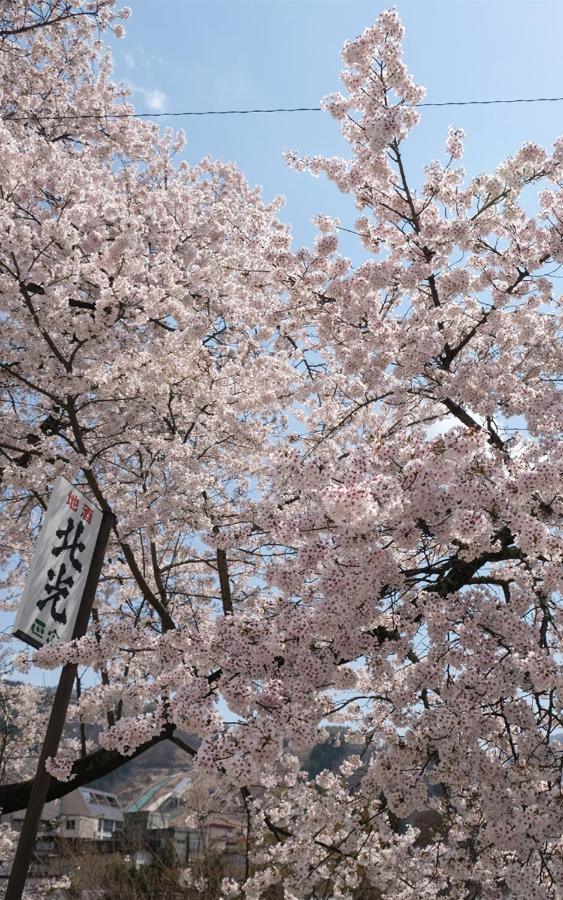 Address Nozawa Lägenhet Exteriör bild