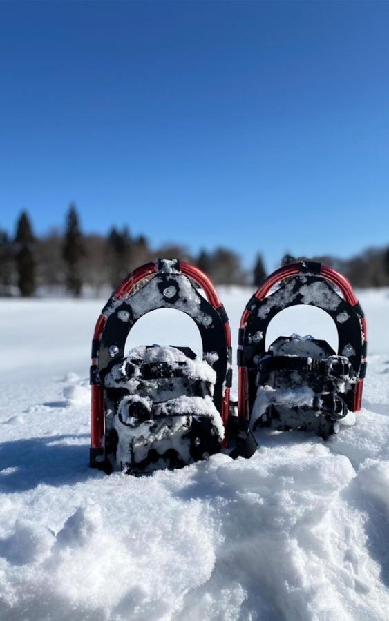 Address Nozawa Lägenhet Exteriör bild